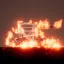 Everything Flammable 1