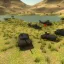 Vanilla+ Universal Camo 4