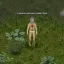 Random Items Every 30 Seconds 2