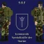 [CW] West German Army 9