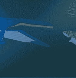 Blue Whale