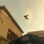 Birds - Beta 4