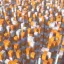 Automatic Dev Map [AUTUMNAGNIFICENT] 6