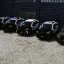 (ALS) LAPD 1