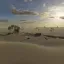Aberdeen (Battlefield 1942) 8