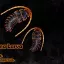 ExtendedMonsters [Spawner Edition] 5