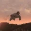 INVINCIBLE Character's Powers + HOMELANDER 1