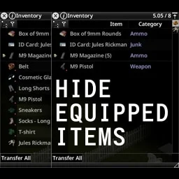Hide Equipped Items [42.13.1]