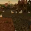 Lively Bunnies 4