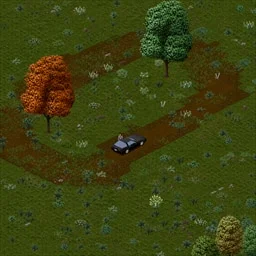 Project Dirtroad - Create your own dirt roads/paths through use [B42]