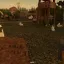 Lively Bunnies 5