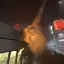 Meteor Strike 3
