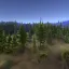 Pine Sea 6