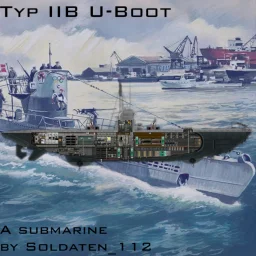 Type IIB Submarine