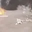 Planes Of War (D.A.M) 6