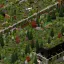 10 Years Later [B42MP] 1