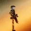 THE DESERT SOLDIER. 1