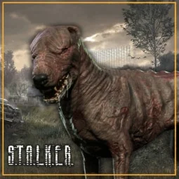STALKER - Blind Dog Alpha