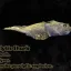 ExtendedMonsters [Spawner Edition] 11