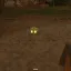 Wild Slimes 6