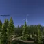 Pine Sea 4