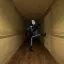 The Half-Life 2 Mod 2