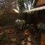 Volkograd town 3: Dacha 9
