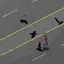 Resident Evil : Crows 2