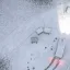 Winter district 5
