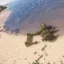 P-38 Lightning [D.A.M. DEMO] 9