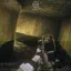 Raven or Not 8