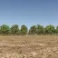 US Southern Countryside [Endless] 2