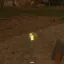 Wild Slimes 5