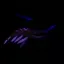 Abyssal Fauna+ 4