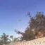 P-38 Lightning [D.A.M. DEMO] 2