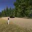 Pine Sea 5