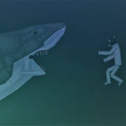Megalodon Shark