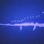 J'an Ny The Sea Creature 1