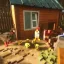 Volkograd town 3: Dacha 2