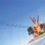 P-38 Lightning [D.A.M. DEMO] 6