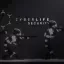 CYBERLIFE SECURITY 1