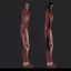 Armin Colossal Titan 1