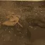 Battle Of Tanks (TABS) Reworked 4