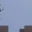 Dark Wolf's Touhou mod remake 9