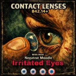 [B42] Functional Contact Lenses