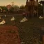 Lively Bunnies 3